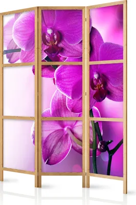 Produktbild von 3-teiliger Einseitiger Vlies Japanischer Paravent - Violet Orchids I 135x172 cm Blumen b-B-0400-z-b