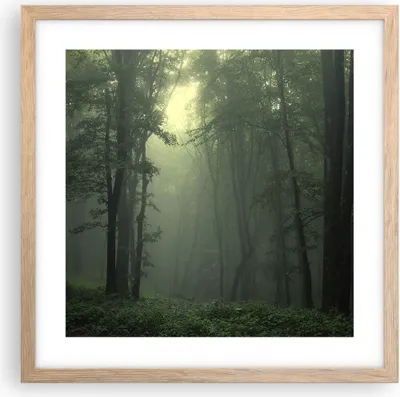 Produktbild von Gerahmtes Poster - Rahmen in heller Eiche - Wald Nebel Baum - 40x40 cm - Wand Bild - Wanddeko - Wandbilder - Kunstposter - Wandposter - Bilderrahmen - Bilder - Kunstdruck - Wandbild - P2NAC40x40-3543