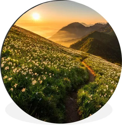 Produktbild von MuchoWow® Aluminium Wandkreis Blumen - Sonne - Berge Ø 90 cm Wanddeko Modern Wohnzimmer - Mauerkreis - Wandbilder - Runde Bild - Bild aus Aluminium - Schlafzimmer - Wohnzimmerdekoration - Wand Dekoration