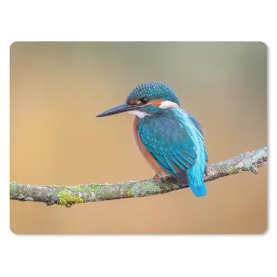 Produktbild von MuchoWow® Mauspad Mousepad Vogel - Eisvogel - Tiere - Zweig 23x19 cm - Mousepads - Maus Mat - Pad - Mausunterlage - Schreibtischunterlage - Mauspad