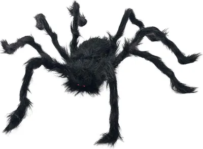 Produktbild von Realistische haarige Riesenspinne, echte große Spinnen für Halloween, Außendekoration, Hausstreich-Requisite