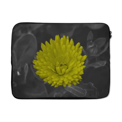 Produktbild von MuchoWow® Laptop Hülle 17 Zoll Laptoptasche Blumen - Aquarell - Löwenzahn - Zipper - Schutzabdeckung