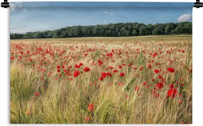 Produktbild von MuchoWow® Wandteppich Wandbehang Wilde Mohnblumen auf einem großen Feld 120x80 cm Tapisserie Dekoration Wandtuch - Wanddekorationen - Wandtücher