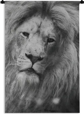 Produktbild von MuchoWow® Wandteppich Wandbehang Porträt - Löwe - Profil 120x180 cm Tapisserie Dekoration Wandtuch - Schlafzimmer - Dekorationen für das Haus