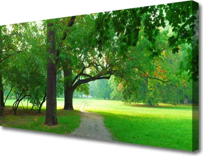 Produktbild von Tulup Leinwand-Bilder 100x50 Wandbild Canvas Kunstdruck Fußpfad Bäume Natur