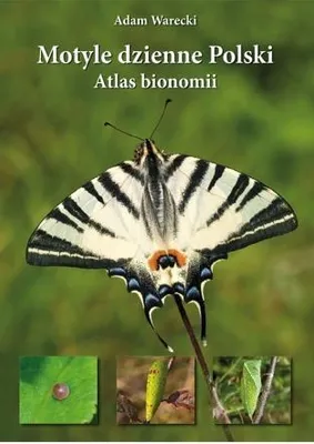 Produktbild von Motyle dzienne Polski. Atlas bionomii TW w.2021