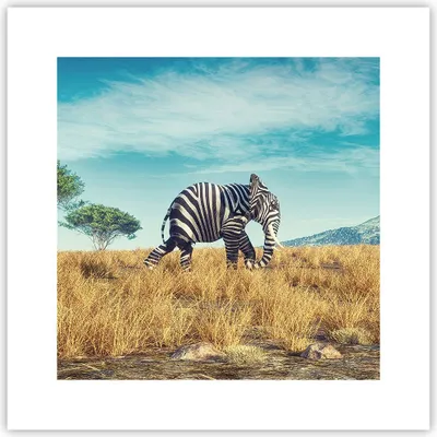 Produktbild von Poster - Poster ohne Rahmen - Surreal Elefant Rippen - 30x30 cm - Wand Bild - Wanddeko - Wandbilder - Kunstposter - Wandposter - Bilder - Kunstdruck - Wanddekoration - Wandbild - P2XAC30x30-4717