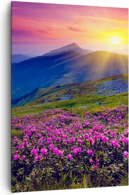 Produktbild von Bild auf Leinwand - Leinwandbild - Einteilig - Wiese Berge Landschaft - 70x100cm - Wand Bild - Wanddeko - Wandbilder - Leinwanddruck - Wanddekoration - Leinwand bilder - Wandbild - PA70x100-2676