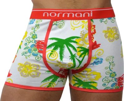 Produktbild von normani 6 Stück Retro Boxershorts aus Baumwolle