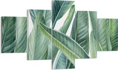 Produktbild von Bild auf Leinwand - Leinwandbild - 5 Teile - Exotisch Blätter Grün - 125x70cm - Wand Bild - Wanddeko - Wandbilder - Leinwanddruck - Bilder - Wanddekoration - Leinwand bilder - Wandbild - EA125x70-4258