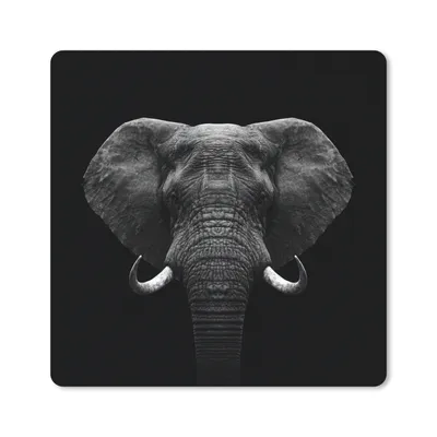 Produktbild von MuchoWow® Mauspad Mousepad Tiere - Elefant - Porträt - Schwarz - Weiß 20x20 cm - Mousepads - Maus Mat - Pad - Mausunterlage - Desk Mat - Bureauartikeln