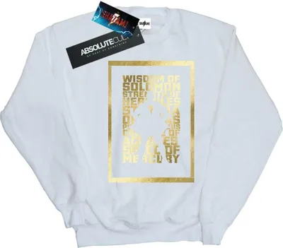 Produktbild von DC Comics - Sweatshirt für Herren BI44507 (5XL) (Weiß)