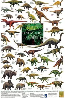 Produktbild von Dinosaurier aus der Kreidezeit