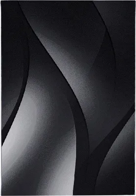 Obrázek produktu pro 120x170 cm Kusový koberec Plus 8010 black