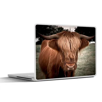 Produktbild von MuchoWow® Laptop Aufkleber Sticker Cover Schottischer Highlander - Baum - Gras 25x18 cm - Laptop-Deko