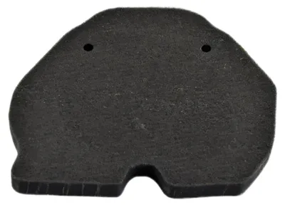 Produktbild von Luftfilter Benelli Bn 302/S/R '15-20,