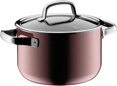 Image de WMF Marmite à viande FT Mineral 20cm R