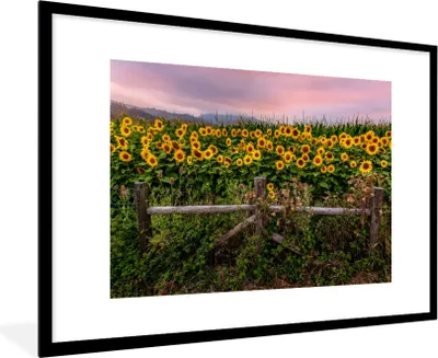 Produktbild von MuchoWow® Gerahmtes Poster Sonnenblume - Blumen - Pflanzen 90x60 cm - Poster mit Schwarzem Bilderrahmen Wandposter Rahmen Foto Bilder - Wanddekoration - Fotos