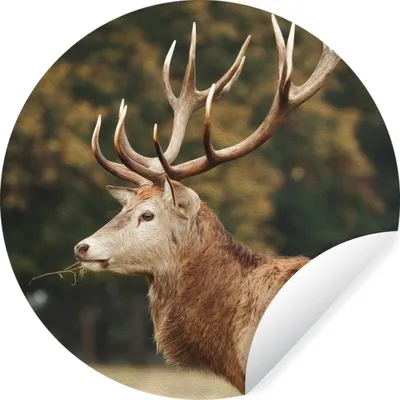 Produktbild von MuchoWow® - Wandbild - Fototapete - Selbstklebend - Dekoration - Wandschmuck - Schlafzimmer