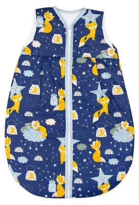 Image de Ankras Sac de couchage bébé Lisek Nuit Coton 2.5 TOG