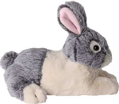 Image de Lapin warmies