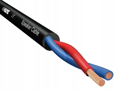 Image de Klotz LY240 Câble Haut-parleur Cuivre OFC 2x4mm² 1m