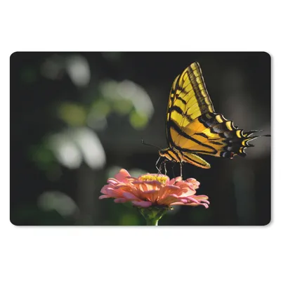 Produktbild von MuchoWow® Schreibtischunterlage Schmetterling - Botanisch - Blume 60x40 cm - XXL Mauspad - Großes Mauspad