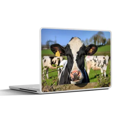 Produktbild von MuchoWow® Laptop Aufkleber Sticker Cover Kuh - Zaun - Gras - Tiere 36.5x27.5 cm - Laptop-Sticker