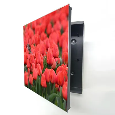 Produktbild von Schwarze Schlüsselbox Key Box 28x32 cm mit Glasfront, 20 Haken, links öffnend, Metall-Schlüsselkasten Wandmontage, rote Tulpen mit Vogel