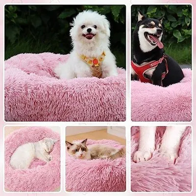 Image de Bassin confortable pour chien, à l'intérieur
