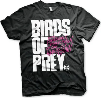 Produktbild von Birds Of Prey Logo T-Shirt - Small - Black