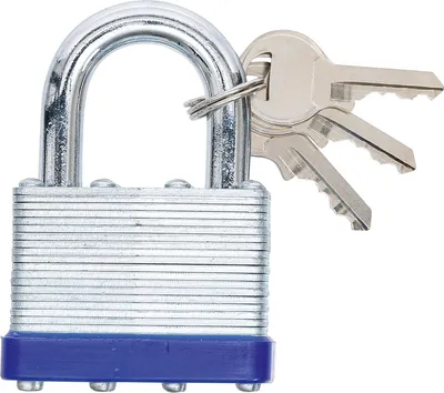 Zdjęcie produktu dla BGS technic Security Padlock, 316 mm