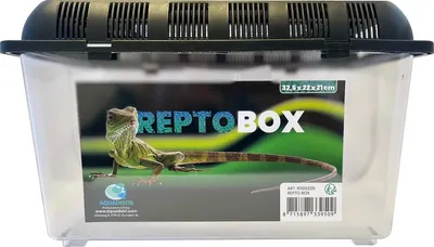 Productafbeelding van Repto Transparante kunststof transportbox voor reptielen, amfibieën, knaagdieren en insecten | 4 maten 32 x 22 x 21CM