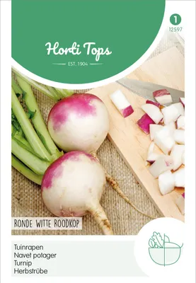Produktbild von Herbstrübe Runde Weiße Rotköpfige | Herbstrübensamen von Hortitops