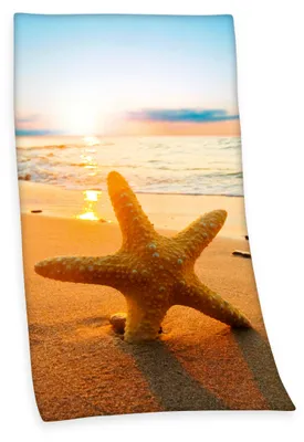 Produktbild von Strandlaken Strandtuch - 93 x 170 cm - Seestern - Duschtuch Saunatuch Badetuch Baumwolle