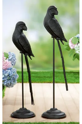Productafbeelding van Gilde Figuur, Vogel, Papegaai, Aluminium, zwart, verpakkingseenheid 1, Diameter: 21 cm, Hoogte: 97.00 cm, Artikelnummer: 69004