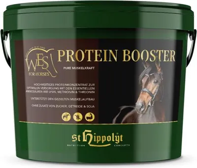 Immagine prodotto di St. Hippolyt WES per cavalli - Integratore proteico 4 kg