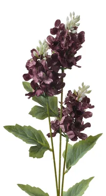Imagen del producto de Clayre & Eef, flor artificial, 71 cm, color violeta, plástico