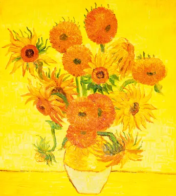 Produktbild von Fototapete - Sunflowers 2 225x250cm - Vliestapete