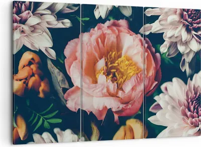 Produktbild von Bild auf Leinwand - Leinwandbild - 3 Teile - Blumen Pfingstrose Holzig - 105x70cm - Wand Bild - Wanddeko - Wandbilder - Leinwanddruck - Bilder - Wanddekoration - Leinwand bilder - CE105x70-4661
