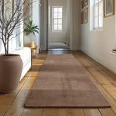 A long hallway with a rug on the floor and a plant in a pot.