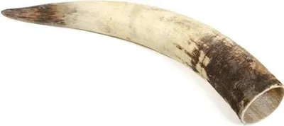 Produktbild von Rinderhorn natur 50-59cm