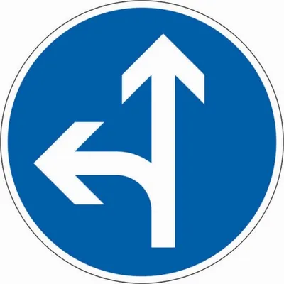 Produktbild von Schild I Verkehrszeichen Vorgeschriebene Fahrtrichtung geradeaus links, Nr.21...