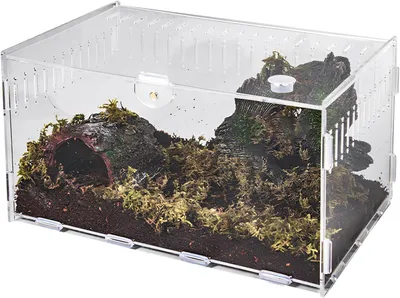 Obrázok produktu pre Terárium pre slimáky 40 x 25 x 20 cm, priehľadné, akryl, pre hmyz