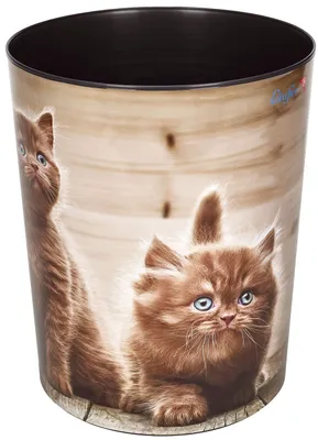 Immagine prodotto di Runner 26661 Cestino 13 L Kitten(P)