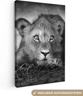 Zdjęcie produktu dla MuchoWow® - Obraz na płótnie - Dzikie zwierzęta - Lew - Natura - Czarno-biały, fototapeta, dekoracja ścienna, obrazy do salonu, 60x90cm