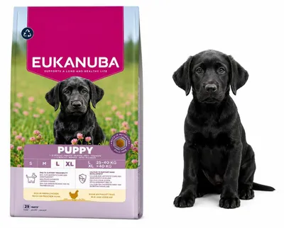 Obrázok produktu pre Eukanuba Dog Breeder Puppy Large kuracie suché krmivo pre psov 18 kg