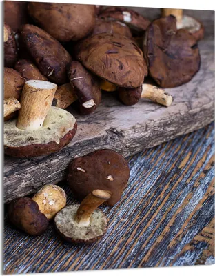 Produktbild von Herdabdeckplatte 40x52 Glaskeramikkochfeld Abdeckung Spritzschutz Glasplatte Deko Schneidebrett, Steinpilze Holz