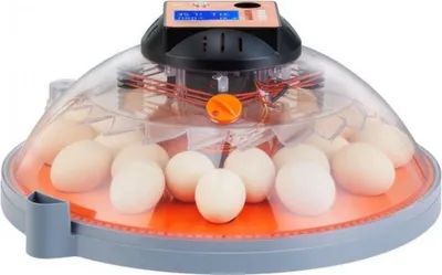 Immagine prodotto di Incubatrice automatica - Per 48 uova - Circolazione dell'aria a 360° - Rotazione automatica e riempimento dell'acqua - Incubatrice in ABS trasparente