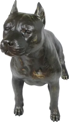 Obrázok produktu pre Stafordšírsky bulteriér I - Socha psa v životnej veľkosti, figúra v mierke 1:1, socha do záhrady od Art-Dog